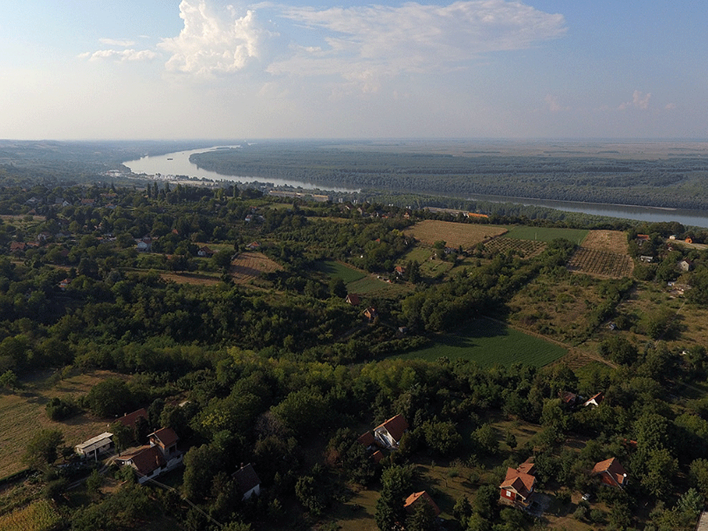 Krčedinska ada na Dunavu