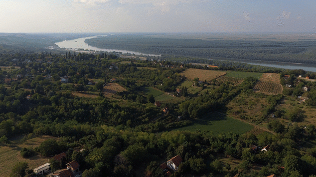 Krčedinska ada na Dunavu