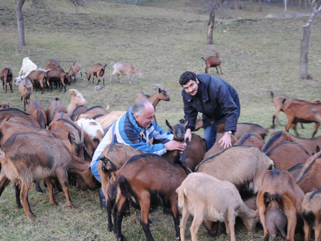 Radoslav Korugic and Vladimir Skundric at the farm