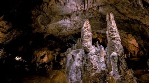 Lipska pećina Cetinje