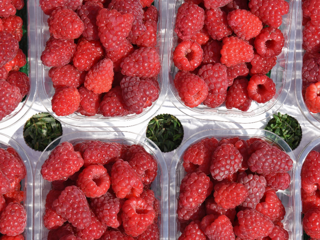 Fresh raspberries as a high-quality product