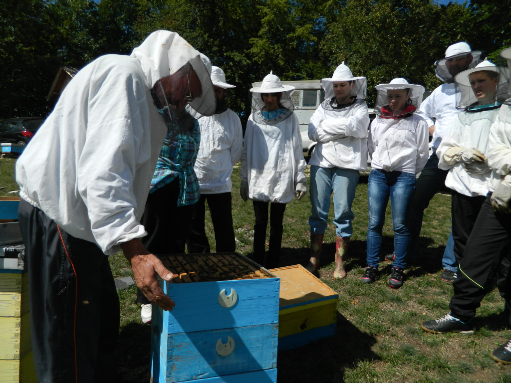 Praktična nastava za pčelare početnike